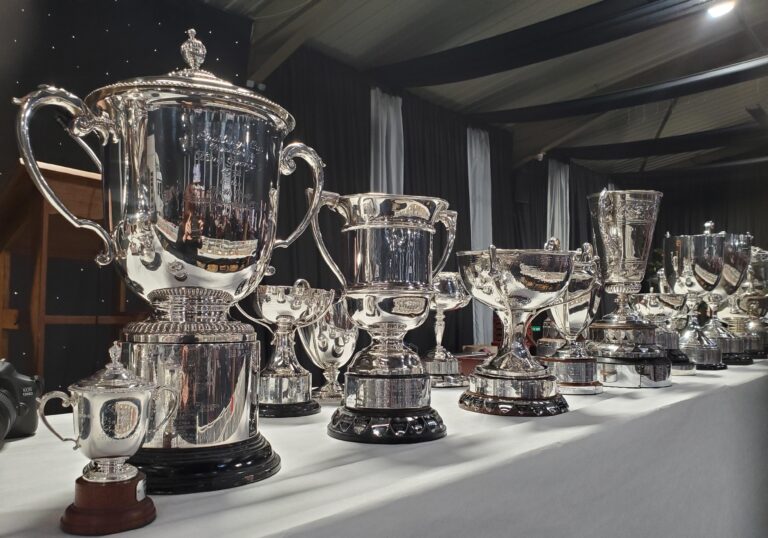 Trophies 1 copy