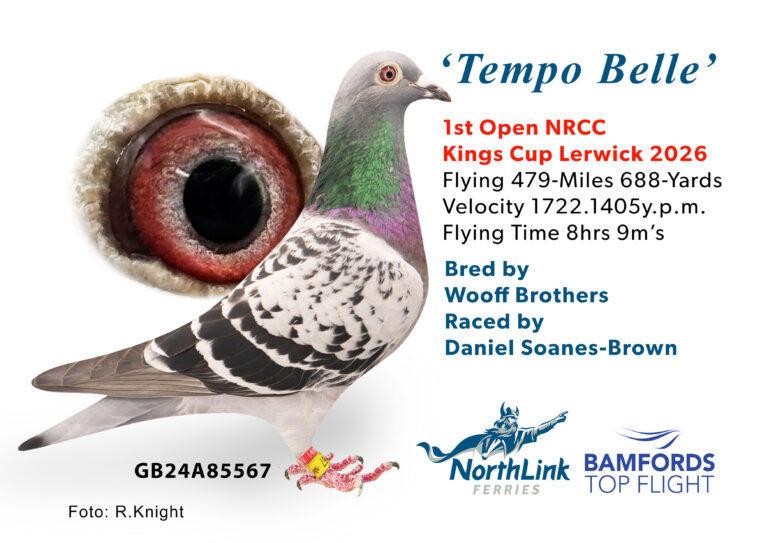 Tempo Belle Lerwick Report